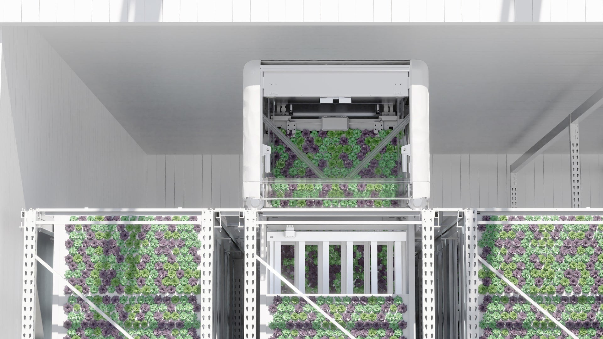 View of 3 types of indoor farming you should know about – Willo Farm