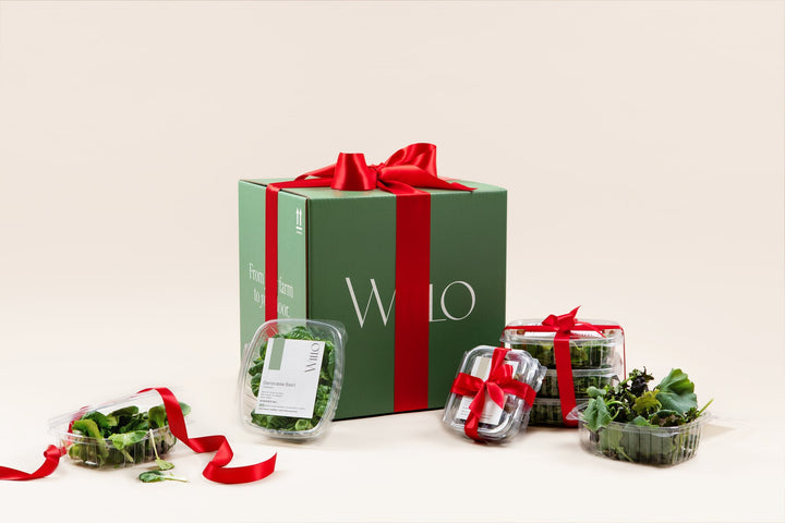 Willo holiday gift guide